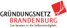 Gründungsnetz